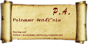 Polnauer Antónia névjegykártya